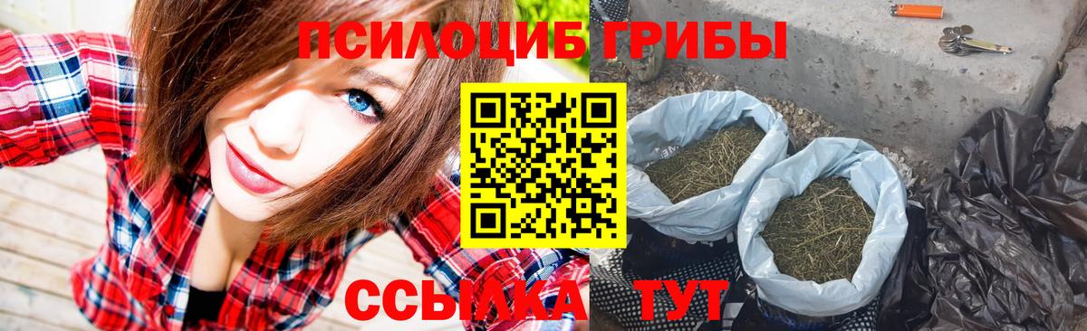 Галлюциногенные грибы MAGIC MUSHROOMS  Галлюциногенные грибы Psilocybe  Вход с VPN  Усть-Джегута 